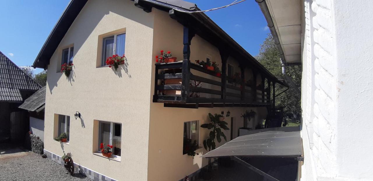 Pensiunea Casa Godja Văleni Exteriör bild