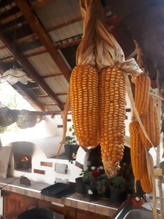 Pensiunea Casa Godja Văleni Exteriör bild